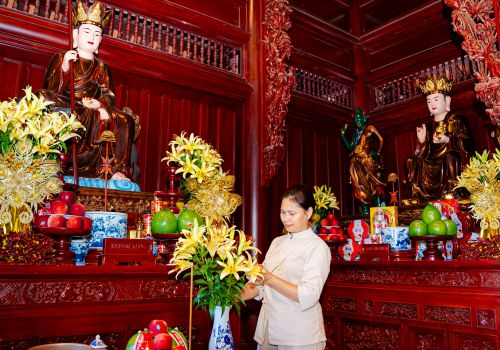 Báo Vnexpress: Ra mắt công viên nghĩa trang sinh thái tại Tuyên Quang