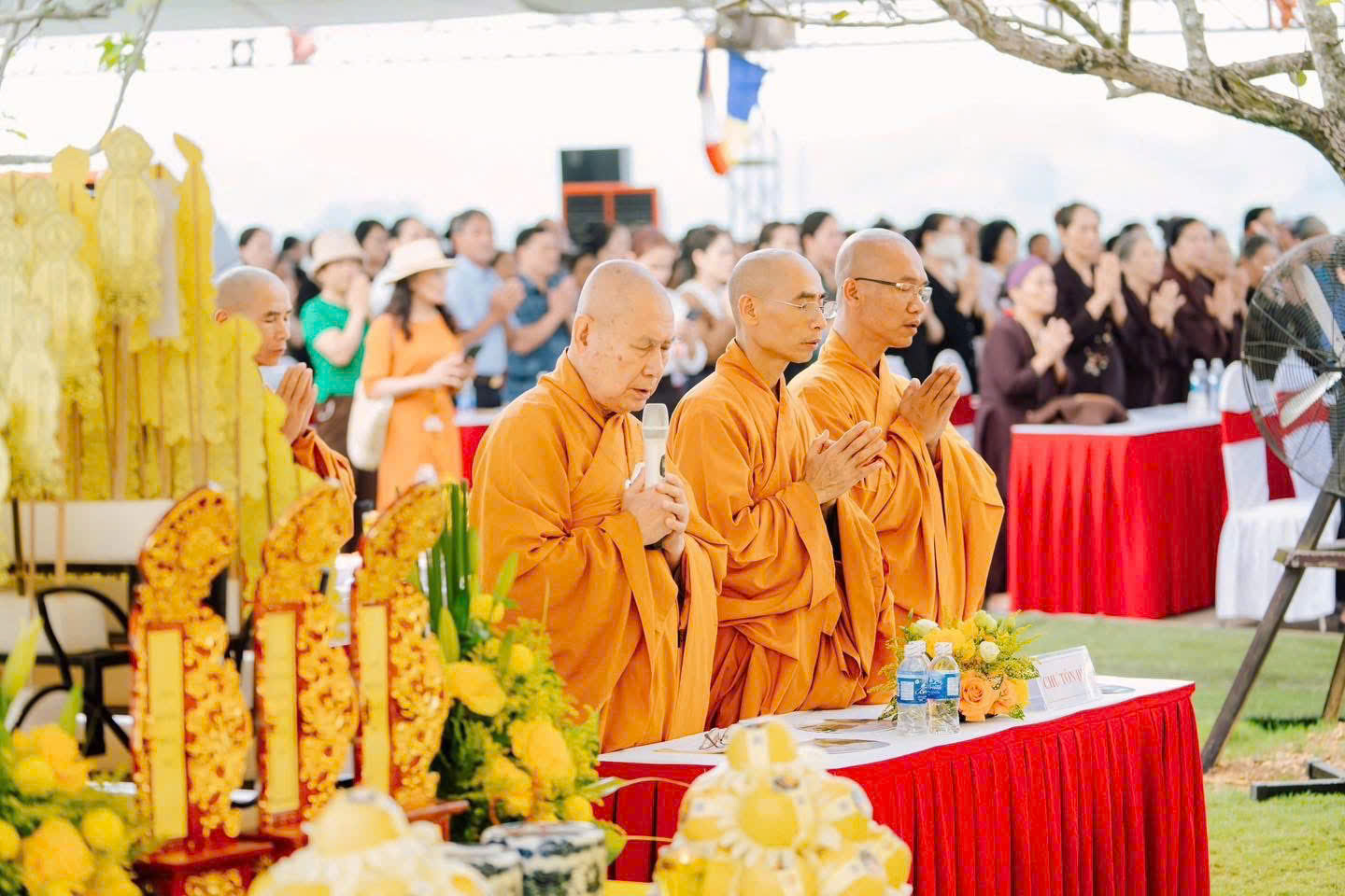 z6956467362946_2f0e92bdc3a47ccc842ac60a58a273a6