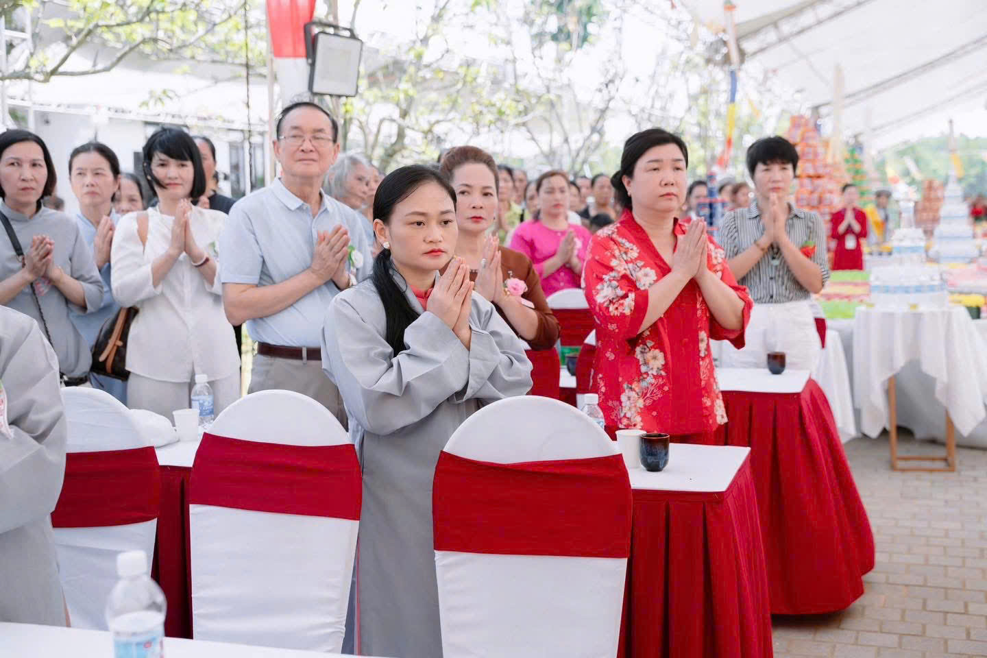 z6956467382669_810a248fa3f6477a4f9c7c9161bdf1b7