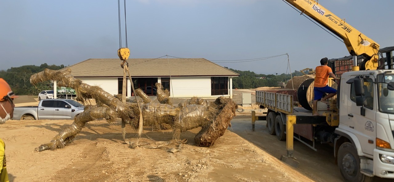 z5496505673272_556b55b455d03a33e1d7cd61fff455b0