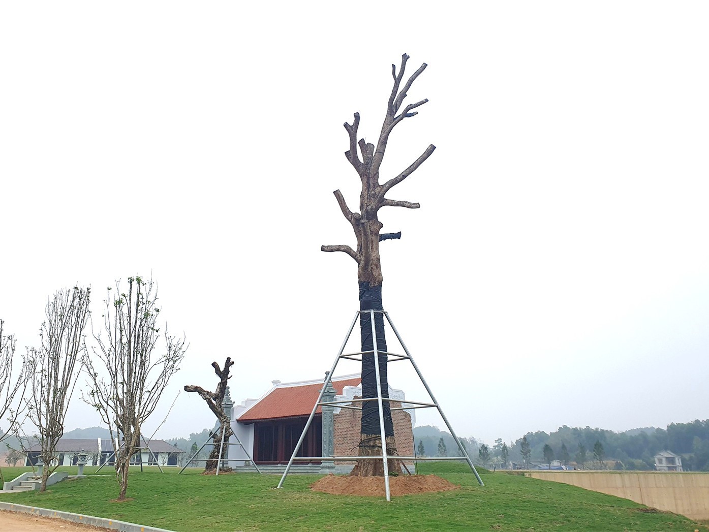 z5501916274762_550b3f2379f1c2bf2ad51aa4f351488a