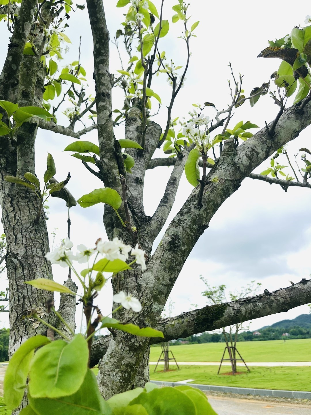 z4788917327979_5ddf476c7927e848bf10064024c4a71a